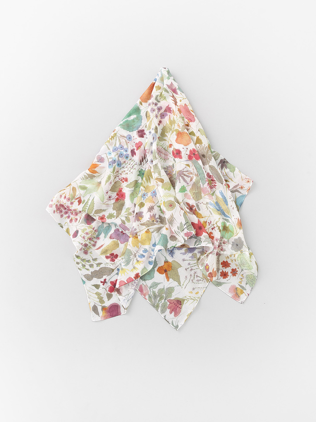 collection image 007