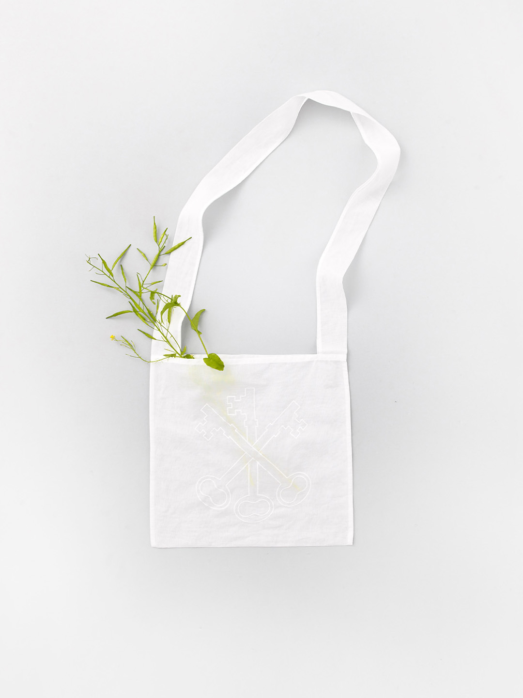 collection image 002