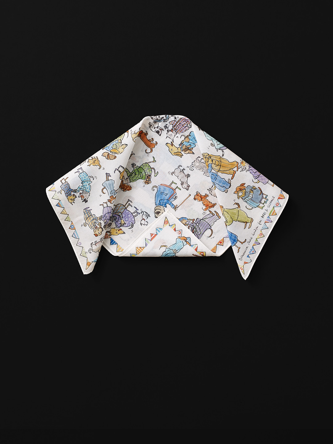 collection image 013