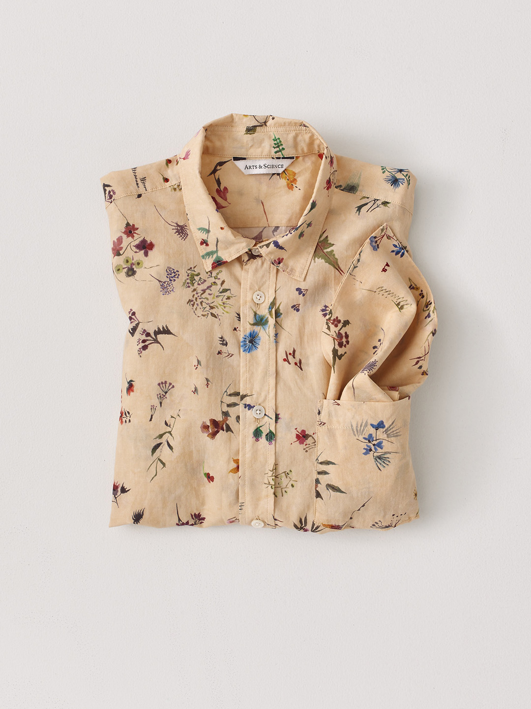 collection image 013