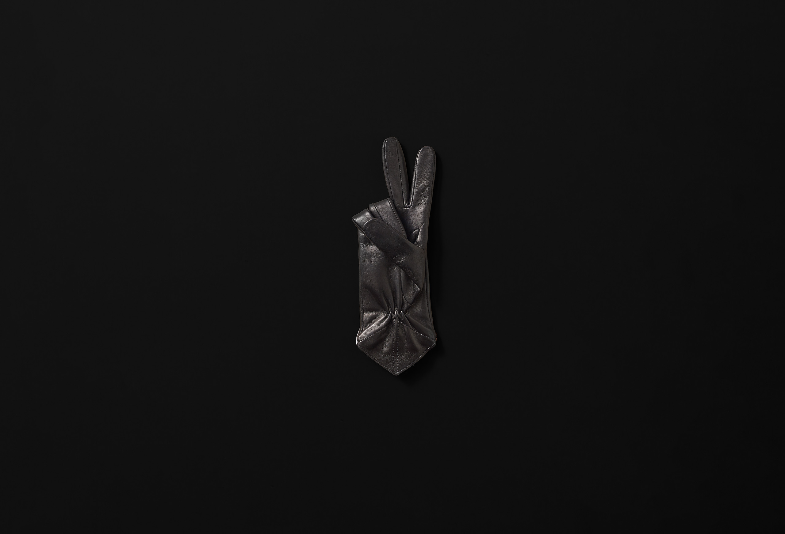 collection image 030