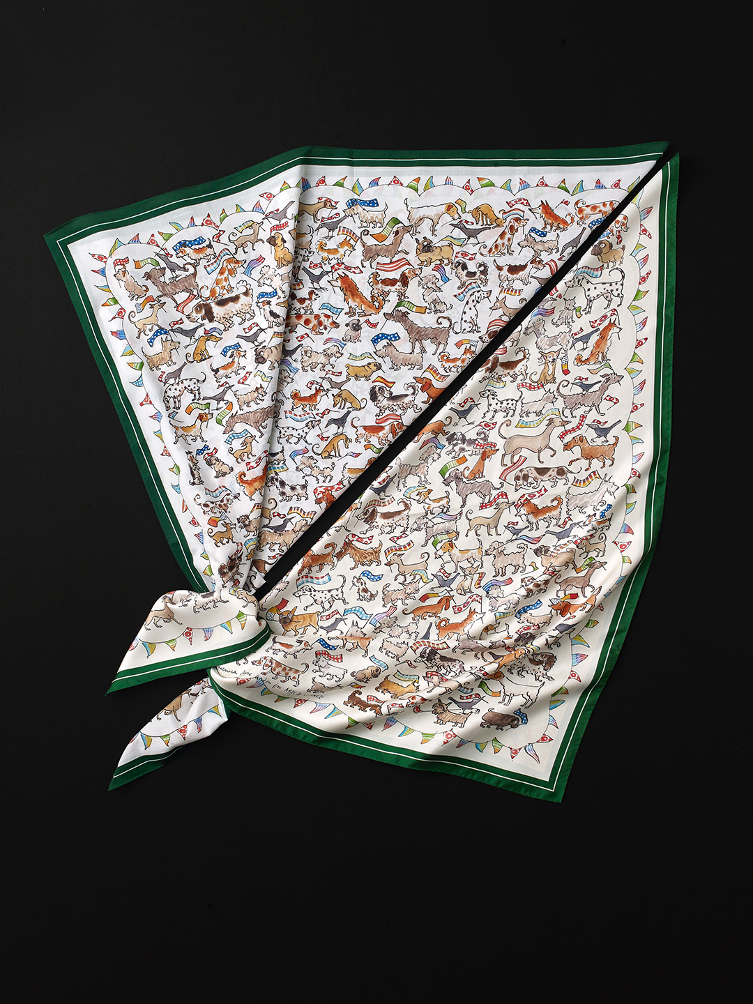 collection image 001