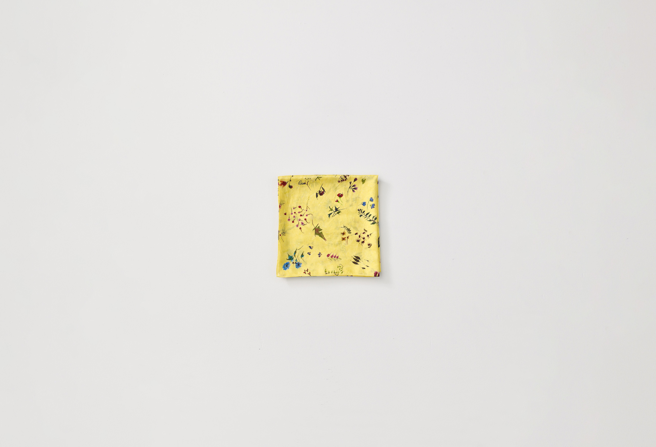 collection image 020