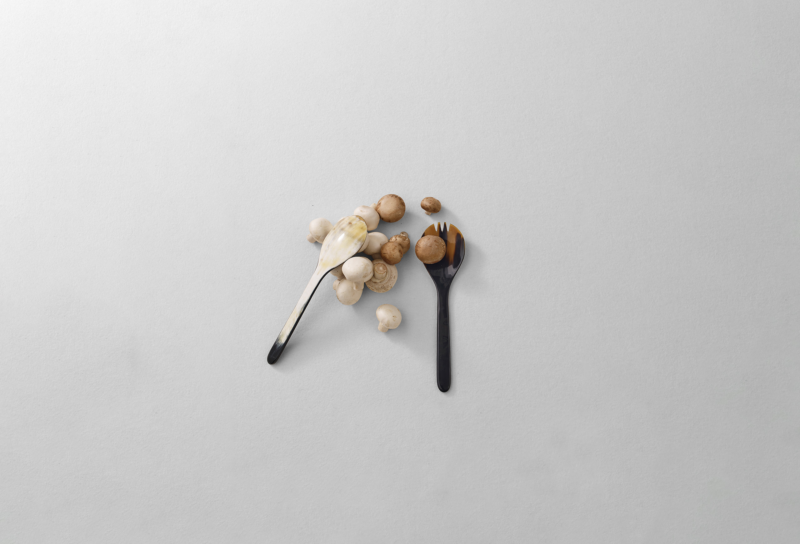 collection image 040