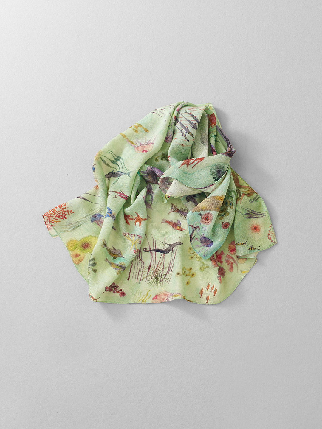 collection image 021